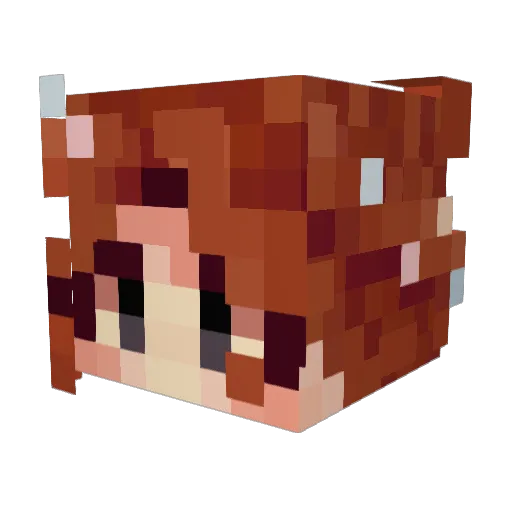 Katerr0_ok Minecraft avatar head, 3D render