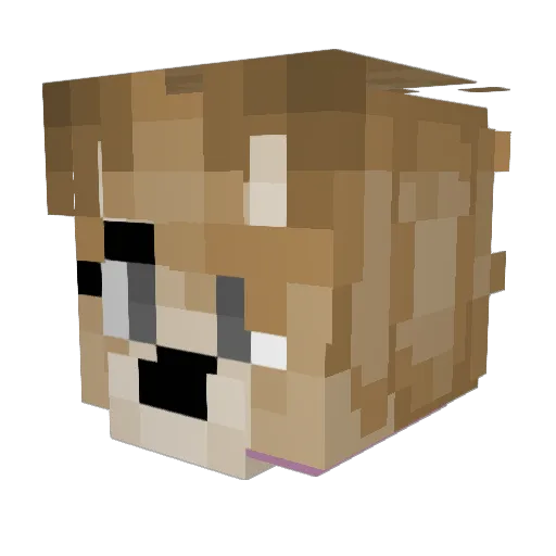 Katful_OwO Minecraft avatar head, 3D render
