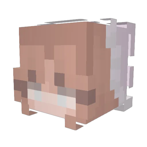 Kath078 Minecraft avatar head, 3D render