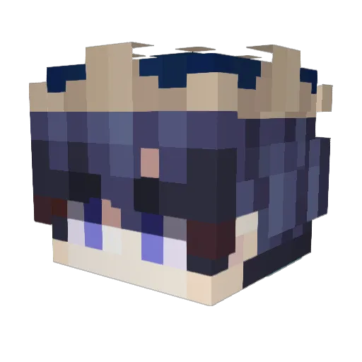 Kath16 Minecraft avatar head, 3D render
