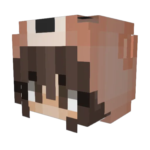 Katha100 Minecraft avatar head, 3D render