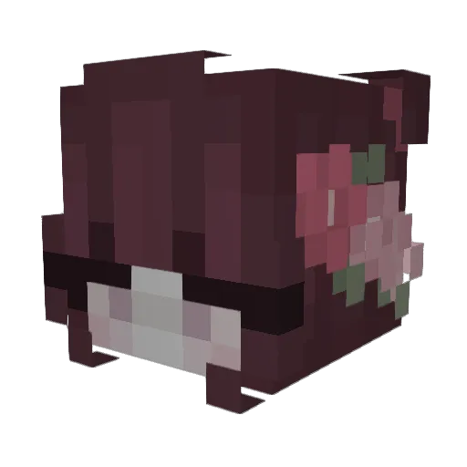 Kathalyn Minecraft avatar head, 3D render