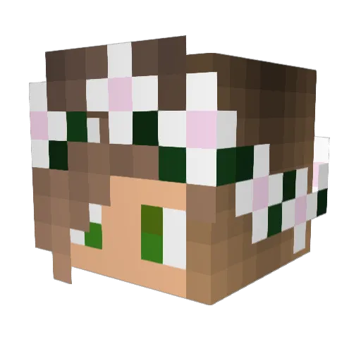 Kathanner Minecraft avatar head, 3D render