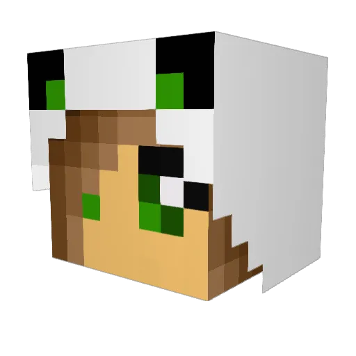 Katherina338 Minecraft avatar head, 3D render