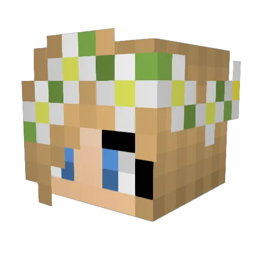 Katherine17894 Minecraft avatar head, 3D render