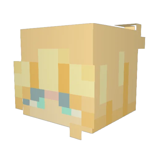 Kathi2022 Minecraft avatar head, 3D render