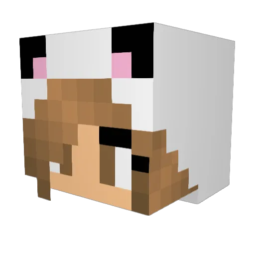 Kathou538 Minecraft avatar head, 3D render