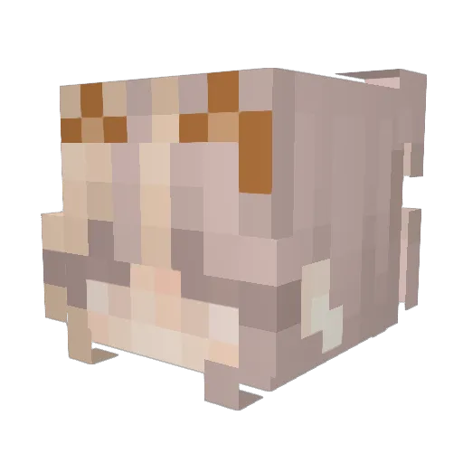 KathrineCats Minecraft avatar head, 3D render