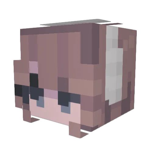 Kati1803 Minecraft avatar head, 3D render