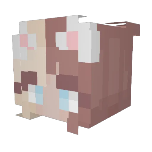 KatiKan Minecraft avatar head, 3D render