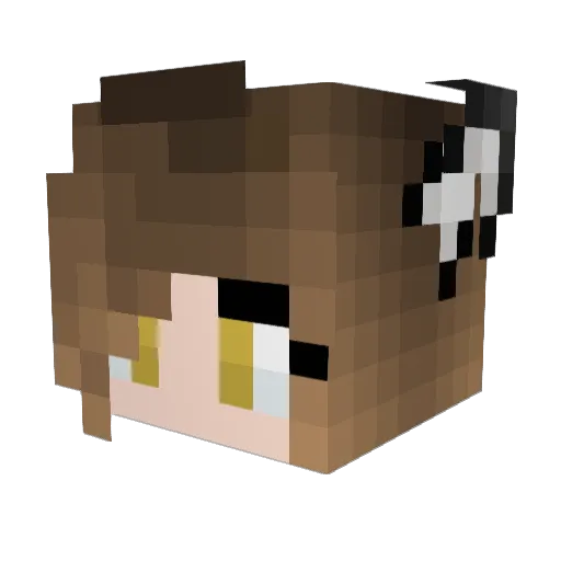 Katia_Managan_ Minecraft avatar head, 3D render