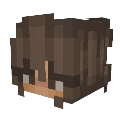 KatieNoodle Minecraft avatar head, 3D render