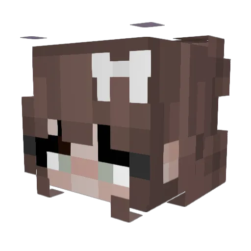 Katiush_a Minecraft avatar head, 3D render