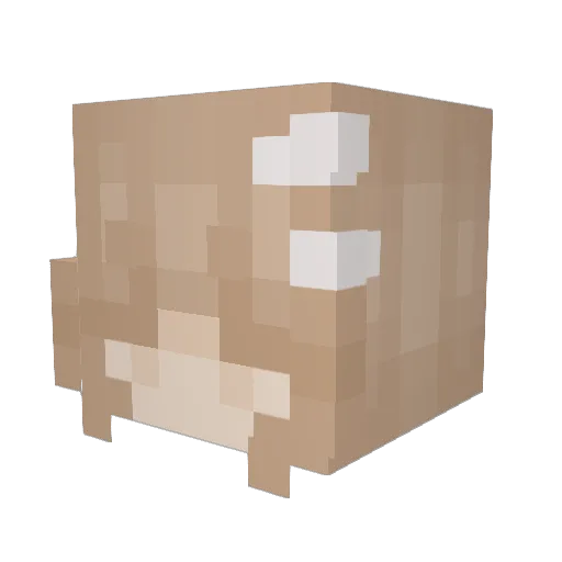 Katka245 Minecraft avatar head, 3D render
