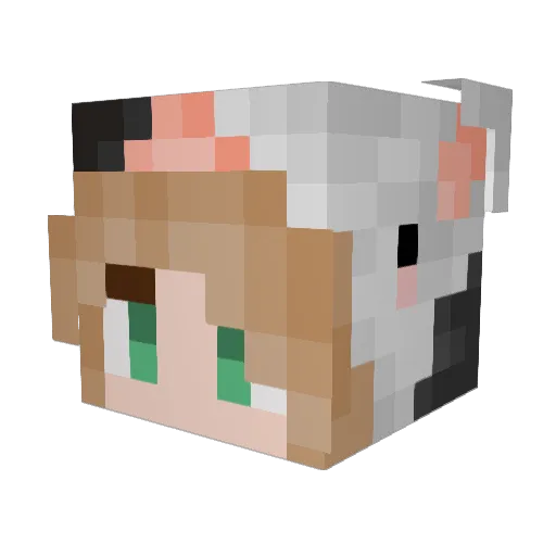 Katkat422 Minecraft avatar head, 3D render