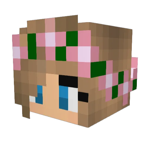 Katness_180301 Minecraft avatar head, 3D render
