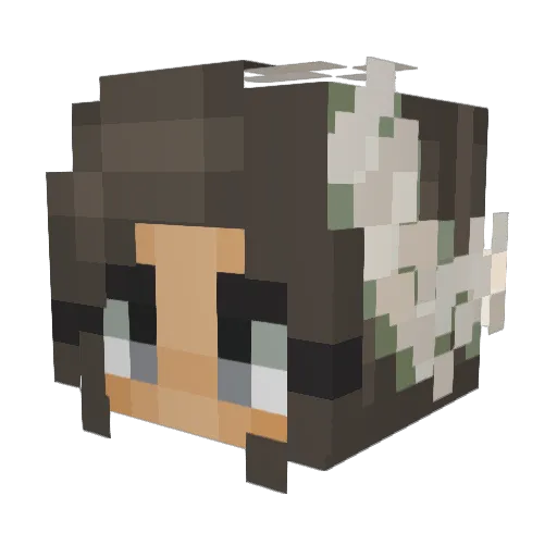 Katnip__ Minecraft avatar head, 3D render