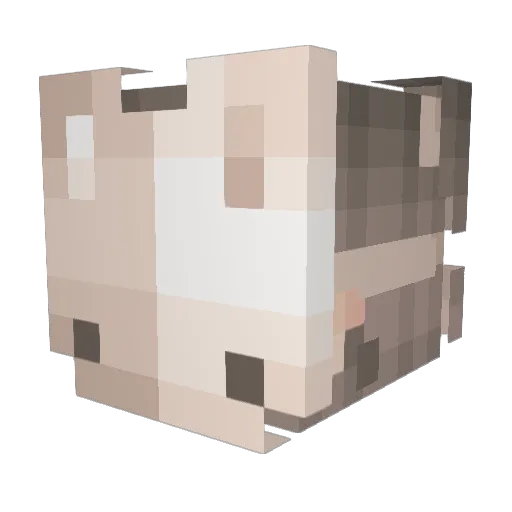Katniss3verbeanz Minecraft avatar head, 3D render