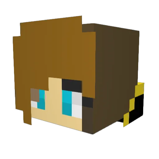 KatnissEverDuh Minecraft avatar head, 3D render