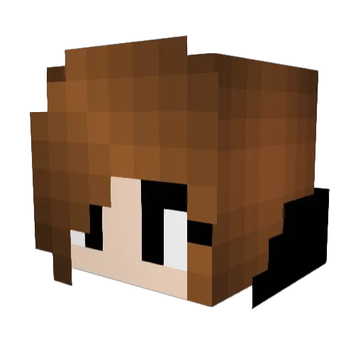 Katniss_009 Minecraft avatar head, 3D render