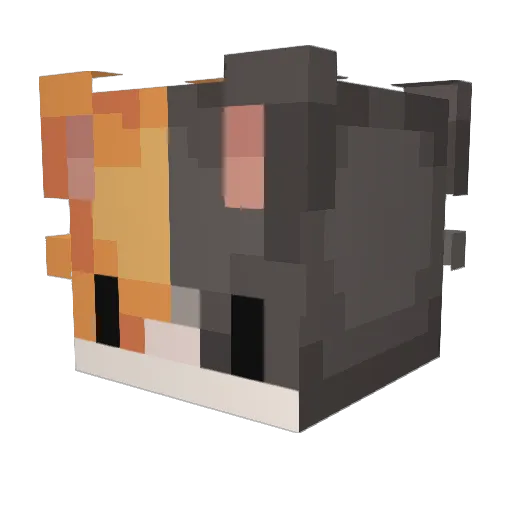 Katoar Minecraft avatar head, 3D render