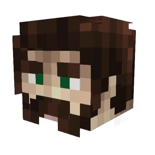Katojikuta Minecraft avatar head, 3D render