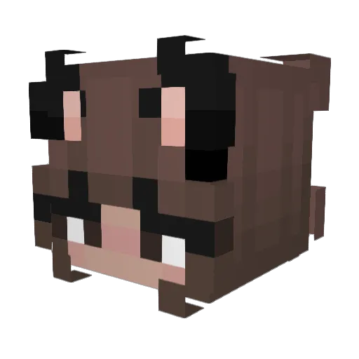 KatoraKat11 Minecraft avatar head, 3D render