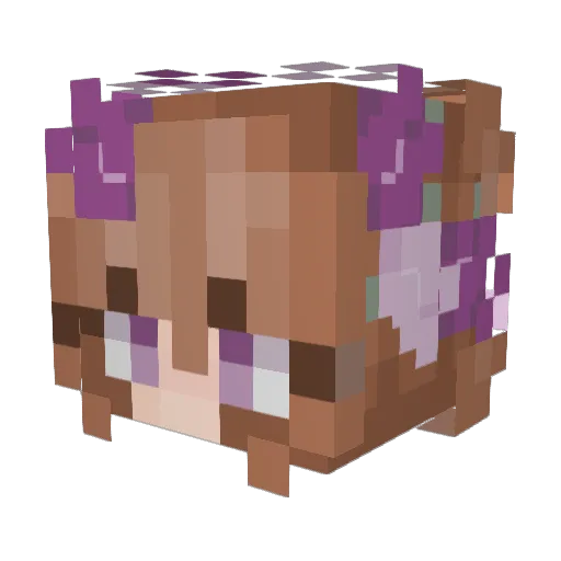 Katsha_ Minecraft avatar head, 3D render