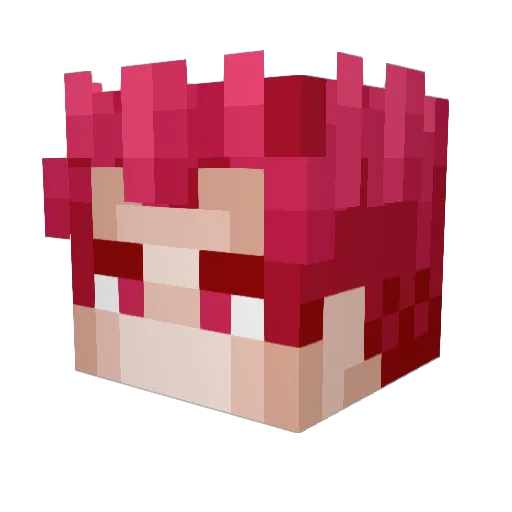 Katsuden313 Minecraft avatar head, 3D render