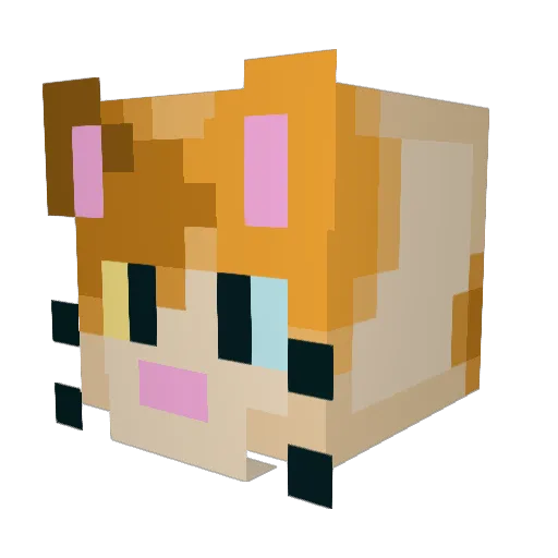 Katt_____ Minecraft avatar head, 3D render