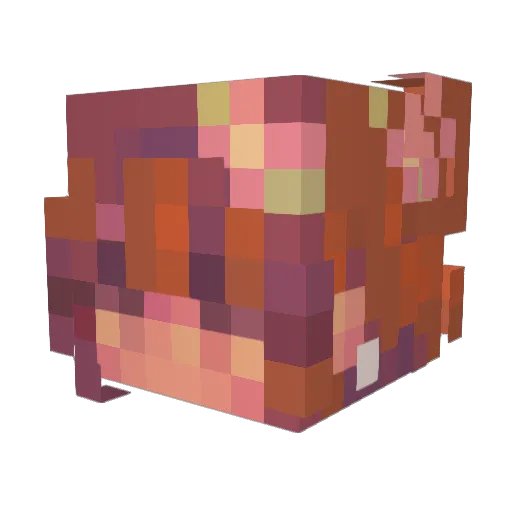 Kattapus Minecraft avatar head, 3D render