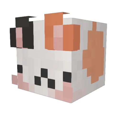 KattenMcFlurry Minecraft avatar head, 3D render