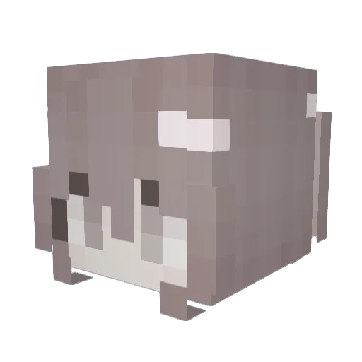 Kattie5461 Minecraft avatar head, 3D render
