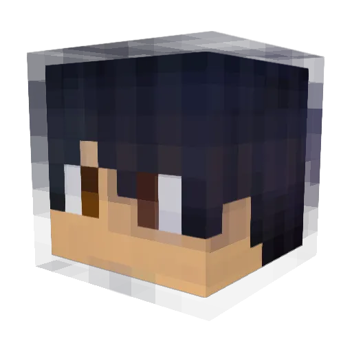 Kattonbush Minecraft avatar head, 3D render