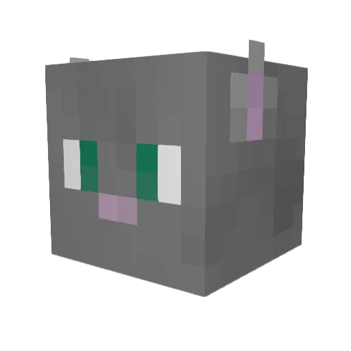 KattyTheEnby Minecraft avatar head, 3D render