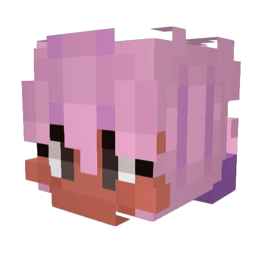 KatyKitty Minecraft avatar head, 3D render