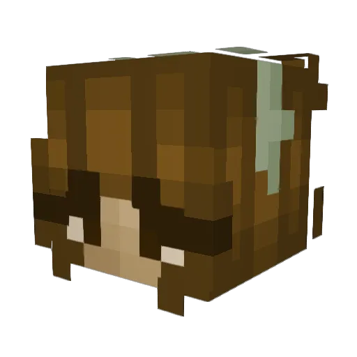 Katy_123 Minecraft avatar head, 3D render