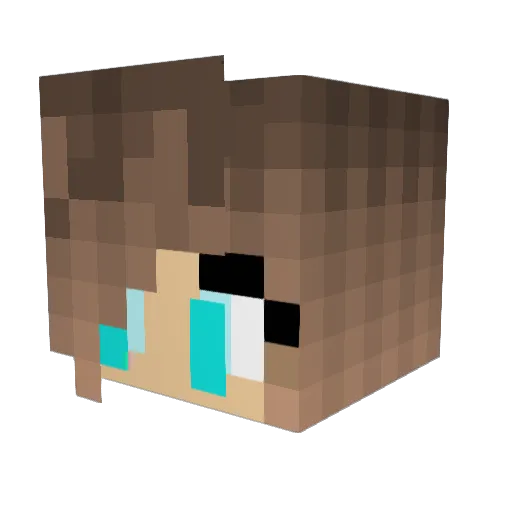 Katze04 Minecraft avatar head, 3D render