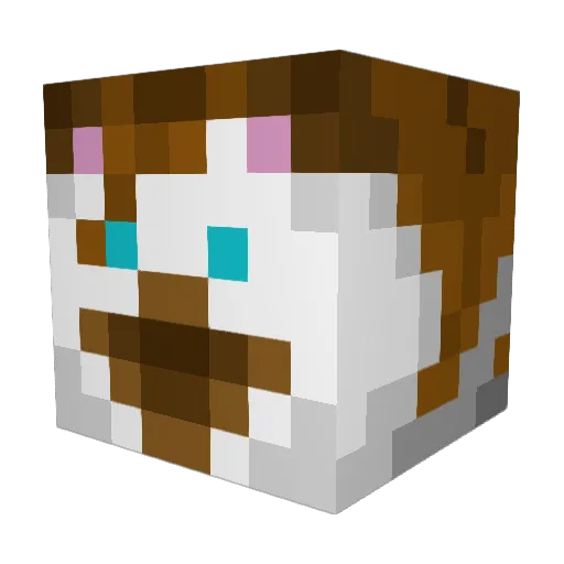 Katze43 Minecraft avatar head, 3D render