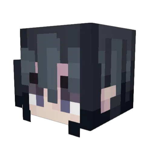 Katze8659 Minecraft avatar head, 3D render