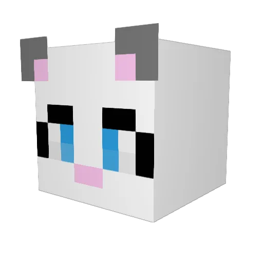 Katze_junior Minecraft avatar head, 3D render