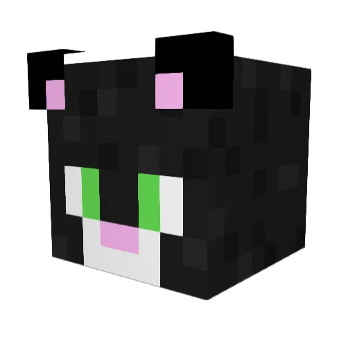 Katzegamer Minecraft avatar head, 3D render