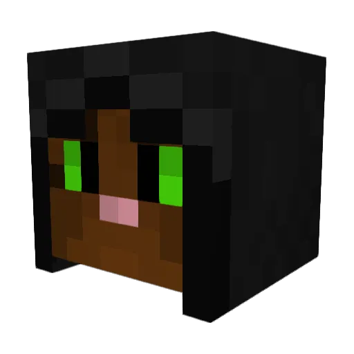 Katzen_Freund Minecraft avatar head, 3D render