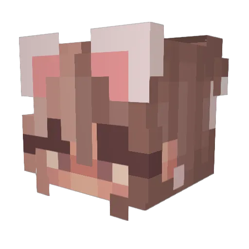 Katzenatze Minecraft avatar head, 3D render