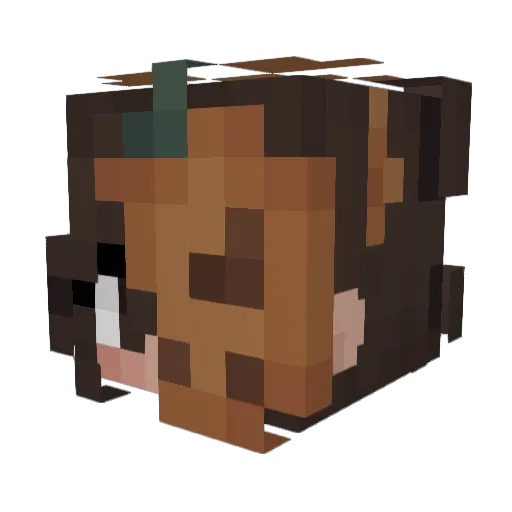KatziBuchi Minecraft avatar head, 3D render