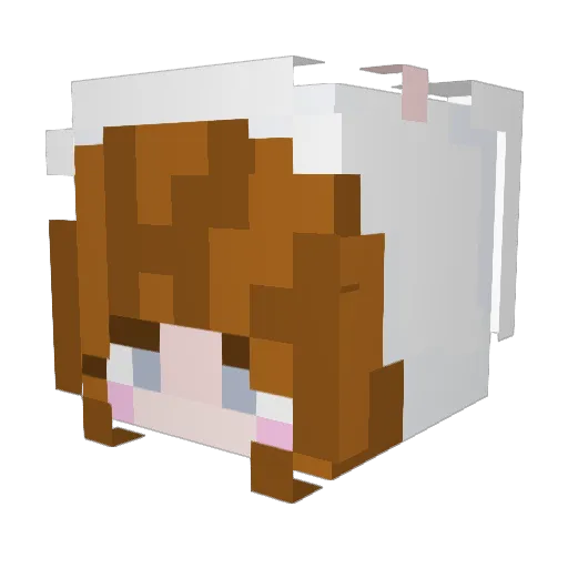 Katzwe Minecraft avatar head, 3D render