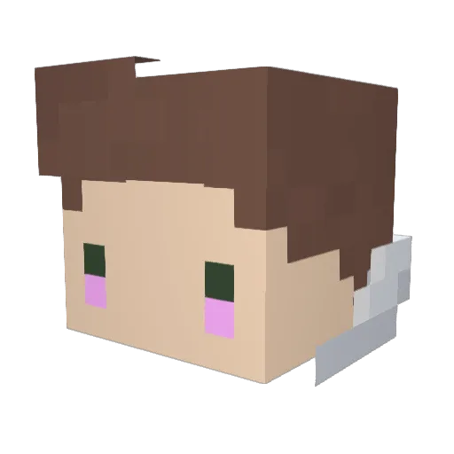 KauaReis Minecraft avatar head, 3D render