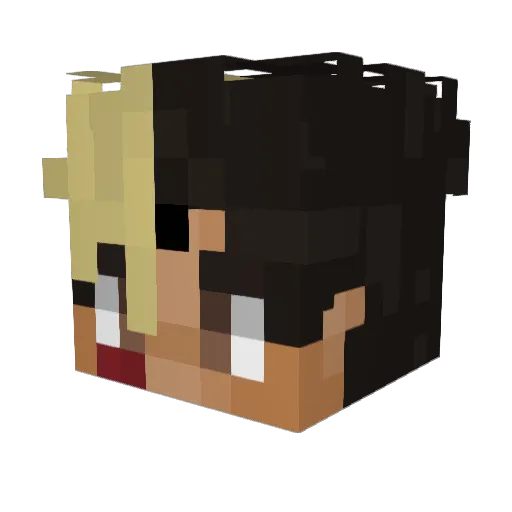 Kauadoa Minecraft avatar head, 3D render