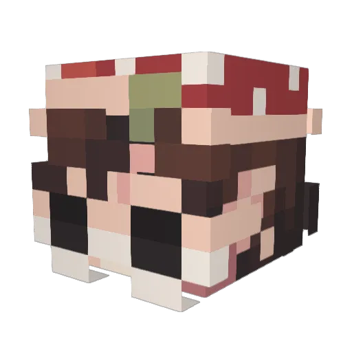 Kauai07 Minecraft avatar head, 3D render