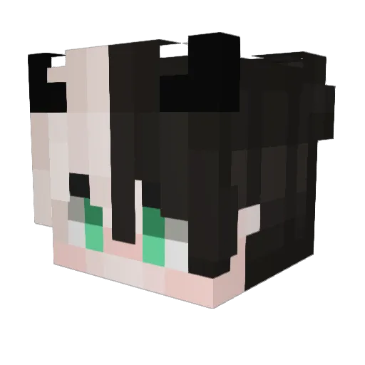 KauaiH11 Minecraft avatar head, 3D render